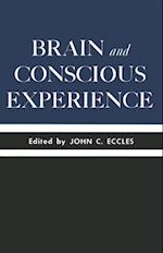 Brain and Conscious Experience