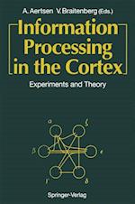 Information Processing in the Cortex