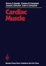 Cardiac Muscle