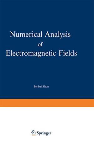 Numerical Analysis of Electromagnetic Fields