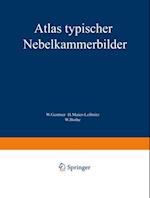 Atlas typischer Nebelkammerbilder