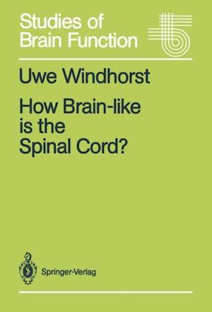 How Brain-like is the Spinal Cord?