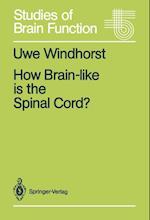 How Brain-like is the Spinal Cord?