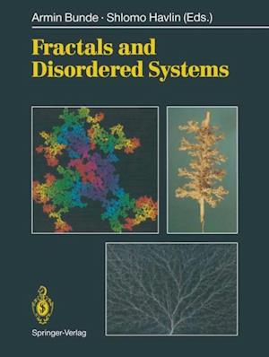 Fractals and Disordered Systems