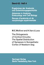 Ontogenesis of Cortical Circuitry: The Spatial Distribution of Synapses in Somesthetic Cortex of Newborn Dog