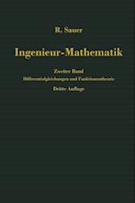 Ingenieur-Mathematik