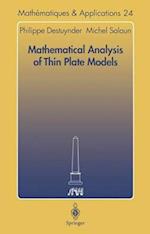 Mathematical Analysis of Thin Plate Models 
