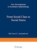 From Social Class to Social Stress