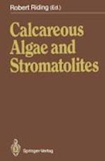 Calcareous Algae and Stromatolites