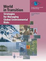Strategies for Managing Global Environmental Risks