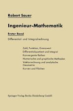 Ingenieur-Mathematik