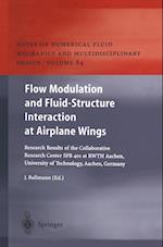 Flow Modulation and Fluid—Structure Interaction at Airplane Wings