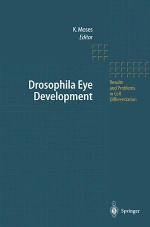 Drosophila Eye Development