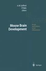 Mouse Brain Development