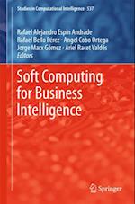 Soft Computing for Business Intelligence