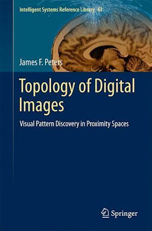 Topology of Digital Images