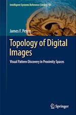 Topology of Digital Images