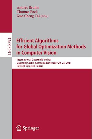 Efficient Algorithms for Global Optimization Methods in Computer Vision