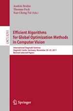 Efficient Algorithms for Global Optimization Methods in Computer Vision