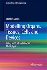 Modelling Organs, Tissues, Cells and Devices
