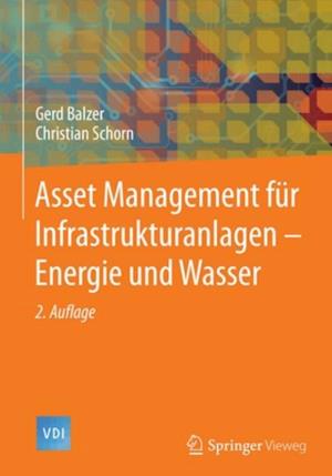 Asset Management für Infrastrukturanlagen - Energie und Wasser