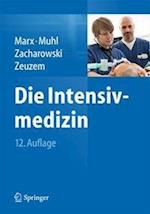 Die Intensivmedizin