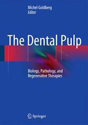 The Dental Pulp