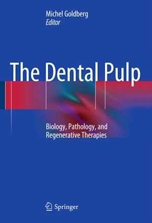 Dental Pulp