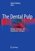 Dental Pulp