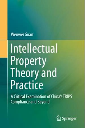 Intellectual Property Theory and Practice