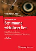 Müller/Bährmann Bestimmung Wirbelloser Tiere