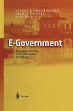 E-Government