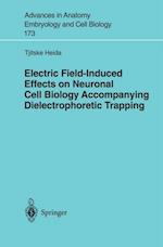 Electric Field-Induced Effects on Neuronal Cell Biology Accompanying Dielectrophoretic Trapping