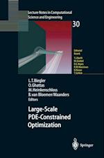 Large-Scale PDE-Constrained Optimization