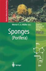 Sponges (Porifera)