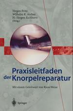 Praxisleitfaden der Knorpelreparatur