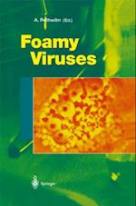 Foamy Viruses