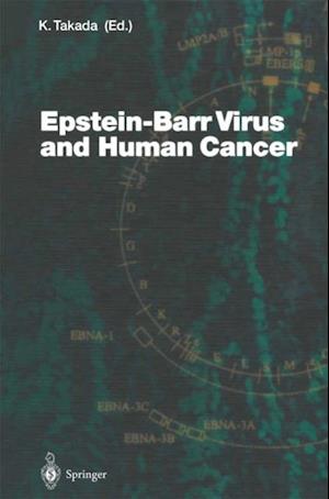 Epstein-Barr Virus and Human Cancer