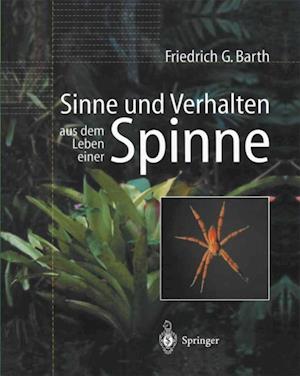 Sinne und Verhalten: aus dem Leben einer Spinne