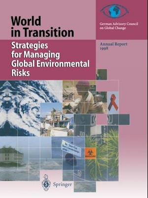 Strategies for Managing Global Environmental Risks