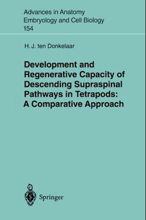 Development and Regenerative Capacity of Descending Supraspinal Pathways in Tetrapods