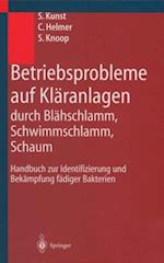 Betriebsprobleme auf Kläranlagen durch Blähschlamm, Schwimmschlamm, Schaum