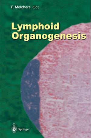 Lymphoid Organogenesis