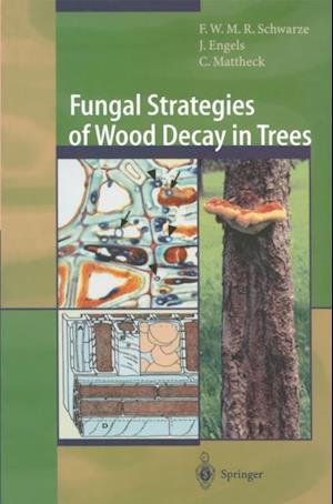 Fungal Strategies of Wood Decay in Trees