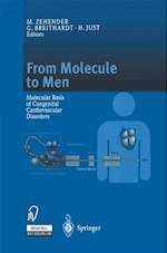 From Molecule to Men