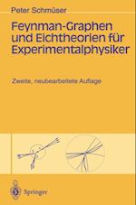 Feynman-Graphen und Eichtheorien für Experimentalphysiker