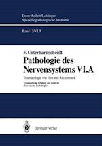 Pathologie des Nervensystems VI.A