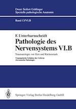 Pathologie des Nervensystems VI.B