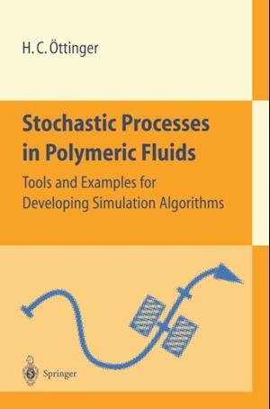 Stochastic Processes in Polymeric Fluids