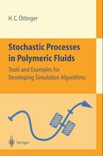 Stochastic Processes in Polymeric Fluids